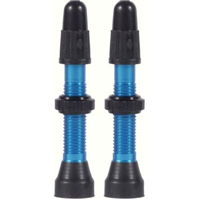 WTB FV TCS Valve 46mm Blue