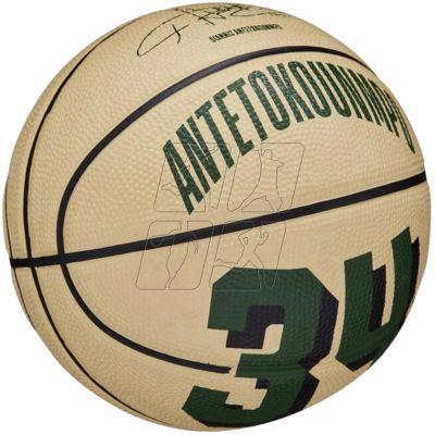 6. Basketball ball Wilson NBA Player Icon Giannis Antetokounmpo Mini Ball WZ4007501XB