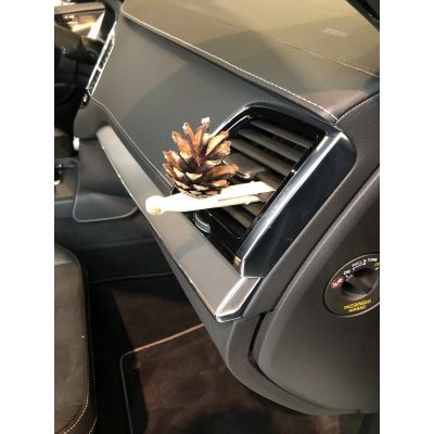 6. Pani Szyszka HORIZONTAL TRAVEL Set 1 x Pani Szyszka + 1 blend of essential oils (LP-HORIZONTAL-TRAVEL)