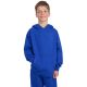 Boy's sweatshirt 4F M1945 cobalt 4FJWAW25TSWSM1945 36S