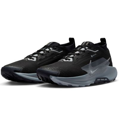 3. Nike Pegasus Trail 5 Gore-Tex FQ0908-001 shoes
