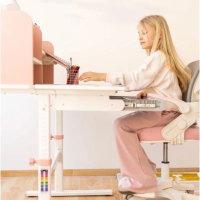 2. Study 5.0 Pink Desk