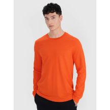 Longsleeve oversize smooth men's 4F 4FRSS25TLONM518-70S