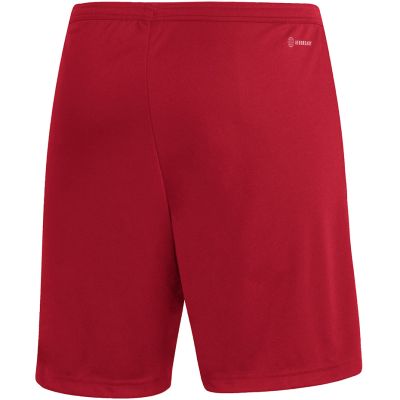 14. adidas Entrada 22 M H61735 shorts