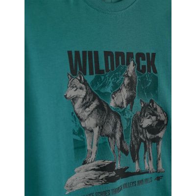 6. Boy's regular printed T-shirt 4F 4FJKAW26TTSHM4455-46S