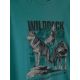 6. Boy's regular printed T-shirt 4F 4FJKAW26TTSHM4455-46S
