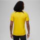 2. Nike PSG DF Academy Pro SS Top PM 4TH M DR4906 720