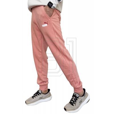 6. Puma Ess+ 2 Col Logo Pants M 586768 62