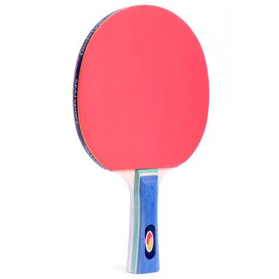 3. SMJ Faster 12201-1 Ping Pong Racket