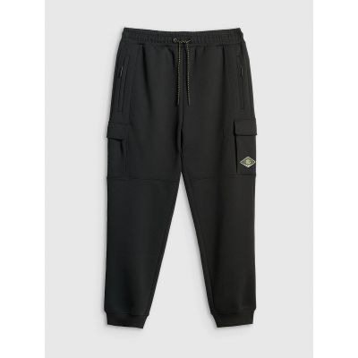 8. Men's cargo sweatpants 4F 4FRSS26TTROM1916-20S