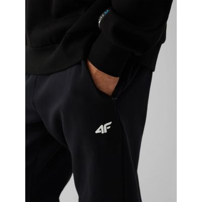 4. Men's jogger sweatpants 4F 4FRAW26TTROM2175-20S