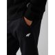 4. Men's jogger sweatpants 4F 4FRAW26TTROM2175-20S