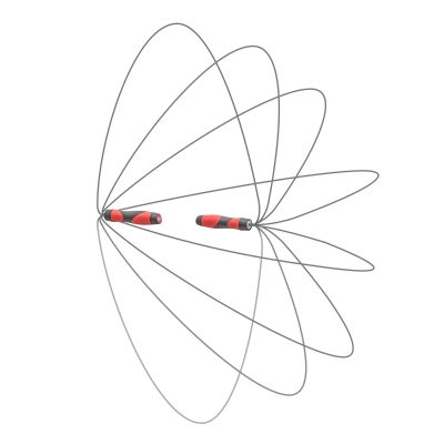 17. Reebok Premium RARP-12021 skipping rope