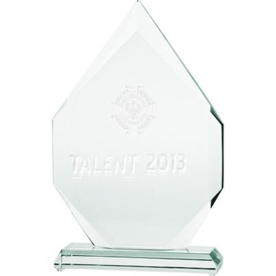 2. 3D engraved glass trophy with case