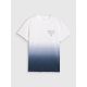 5. Men's regular printed T-shirt 4F 4FRAW25TTSHM3226-31S