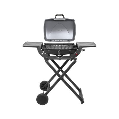 5. Teesa BBQ-1000 TSA0150 portable gas grill - foldable