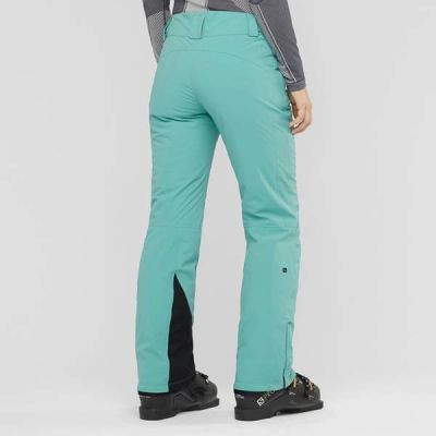 6. Salomon THE BRILLIANT Snowboard Pants W LC13940 00