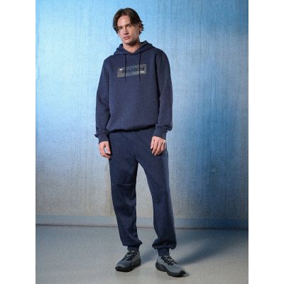 6. Men's regular hooded sweatshirt 4F 4FRSS26TSWSM2801-31S