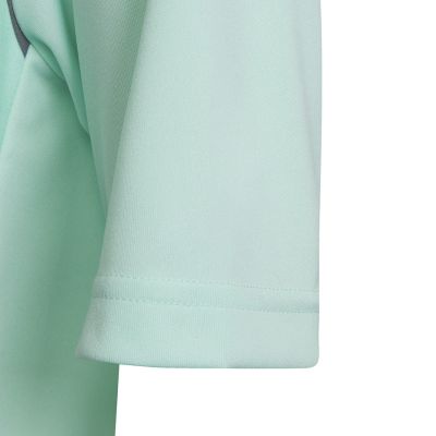 16. adidas Entrada 22 Graphic Jersey Jr HF0127