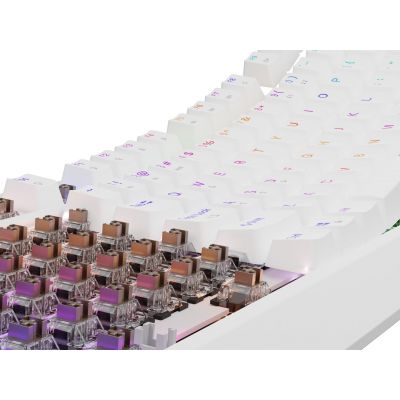 16. GENESIS Thor 230 TKL USB + RF QWERTY keyboard