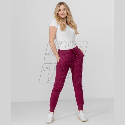 3. Pants 4F W H4L22-SPDD350 53S