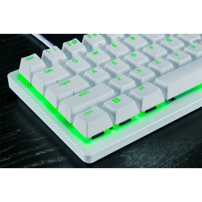3. Razer RZ03-04990100-R3M1 Gaming Keyboard USB QWERTY UK International White