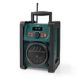 12. Nedis RDDB3100GN Portable Radio Analog & Digital Black, Green