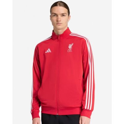 2. adidas Liverpool LFC DNA sweatshirt JW7892