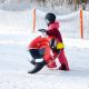 26. Meteor Penguin 16764 snow slide