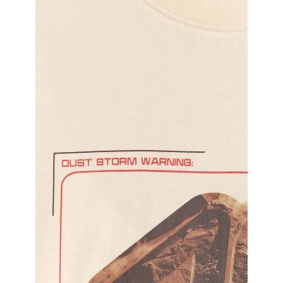 5. Men's regular printed T-shirt 4F 4FRSS26TTSHM4230-11S
