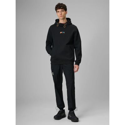 8. Men's regular hooded sweatshirt 4F 4FRSS26TSWSM2894-20S