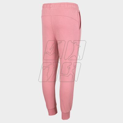 6. Pants 4F Jr HJZ22-JSPDD001 56S