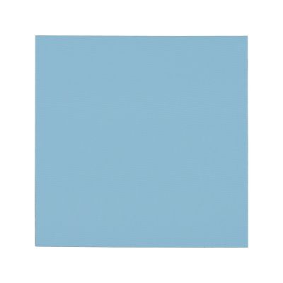 Thermal Grizzly Minus Pad Pro 100 x 100 x 2.0 mm