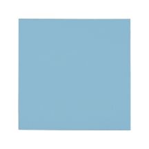Thermal Grizzly Minus Pad Pro 100 x 100 x 2.0 mm