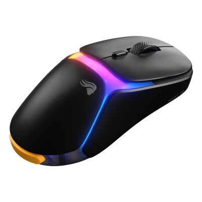 10. Glorious Gaming Model O3 Wireless Mouse Right-handed RF Wireless Optical 30000 DPI
