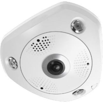 2. LevelOne IPCam 12MP/H.265/IR/12W/PoE/IP67 Fisheye Dome Camera