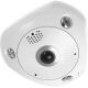 2. LevelOne IPCam 12MP/H.265/IR/12W/PoE/IP67 Fisheye Dome Camera