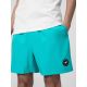 Men's boardshorts 4F 4FWSS24UBDSM123-32S