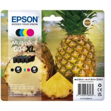 Epson 604XL Ink Bulk Pack C13T10H64010