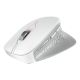 3. CHERRY JW-8550-0 mouse Universal Right-hand RF Wireless Optical 4000 DPI
