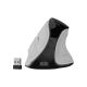 15. NATEC EUPHONIE PRO BT5.0 wireless mouse, 4000 DPI, quiet, programmable