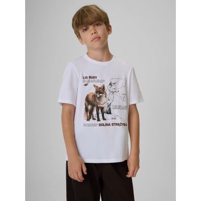 Boy's regular printed T-shirt 4F 4FJKAW26TTSHM4452-10S