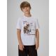 Boy's regular printed T-shirt 4F 4FJKAW26TTSHM4452-10S