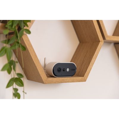 12. ABUS PPIC91520 Industrial Camera IP Security Camera Indoor/Outdoor Wall