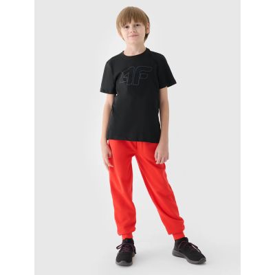 2. Boy's printed T-shirt 4F Junior 4FJWMM00TTSHM1627-20S