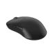 12. Endgame Gear XM2we Gaming Mouse Right Side RF Wireless + USB Type-C Optical 19000 DPI