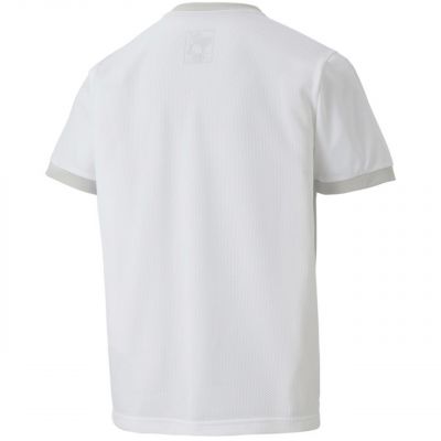 3. Puma teamGOAL 23 Jersey Jr 704160 04