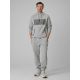 3. Men's regular hooded sweatshirt 4F 4FRSS26TSWSM2975-20S