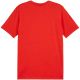 2. Puma Team Goal Casuals Tee M 658615 01