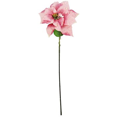 3. Poinsettia 30 cm, pink